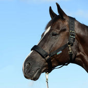 Bucas Halfter Comfort Schwarz Bucas Halfter Comfort Schwarz