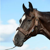 Bucas Halfter Comfort Braun Bucas Halfter Comfort Braun