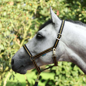 Bucas Halfter Dublin Schwarz/Gold Bucas Halfter Dublin Schwarz/Gold