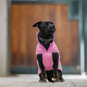 Bucas Freedom Dog Rug Aurora Pink Bucas Freedom Dog Rug Aurora Pink