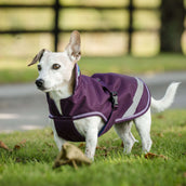 Bucas Freedom Dog Rug 300g Blackberry Bucas Freedom Dog Rug 300g Blackberry