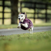Bucas Freedom Dog Rug 300g Blackberry Bucas Freedom Dog Rug 300g Blackberry
