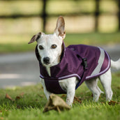 Bucas Freedom Dog Rug 300g Blackberry Bucas Freedom Dog Rug 300g Blackberry