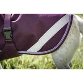 Bucas Freedom Dog Rug 300g Blackberry Bucas Freedom Dog Rug 300g Blackberry