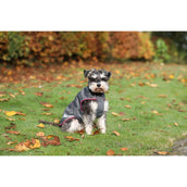 Bucas Freedom Dog Rug 50g Smoke Grey Bucas Freedom Dog Rug 50g Smoke Grey