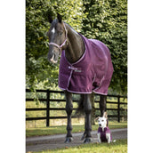 Bucas Freedom Dog Rug 300g Blackberry Bucas Freedom Dog Rug 300g Blackberry