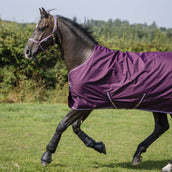 Bucas Freedom Turnout 150g Blackberry Bucas Freedom Turnout 150g Blackberry