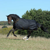 Bucas Irish Turnout 150g Schwarz/Gold Bucas Irish Turnout 150g Schwarz/Gold