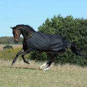 Bucas Irish Turnout Extra 300g Schwarz/Gold Bucas Irish Turnout Extra 300g Schwarz/Gold