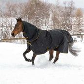 Bucas Irish Turnout Light 50g + Neck Schwarz/Gold Bucas Irish Turnout Light 50g + Neck Schwarz/Gold