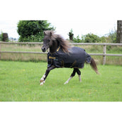 Bucas Irish Turnout 250g Schwarz/Gold Bucas Irish Turnout 250g Schwarz/Gold