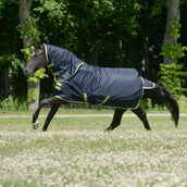 Bucas Oasis Turnout Neck 200g Dark Grey/Lime Bucas Oasis Turnout Neck 200g Dark Grey/Lime