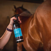 Carr & Day & Martin Glanzspray Canter Coat Shine Carr & Day & Martin Glanzspray Canter Coat Shine