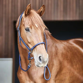 Catago Lederhalfter Navy Catago Lederhalfter Navy