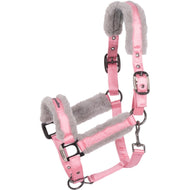 Cavallo Halfter CavalJero Powder Pink Cavallo Halfter CavalJero Powder Pink