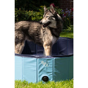 Coolpets Schwimmbad Coolpets Schwimmbad