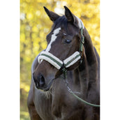 Covalliero Halfter Soft AW26 Forest Green Covalliero Halfter Soft AW26 Forest Green