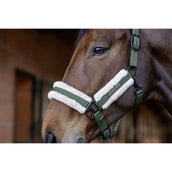 Covalliero Halfter Soft AW26 Forest Green Covalliero Halfter Soft AW26 Forest Green
