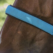 Norton Halfter Fluo Unterlegt Blau Norton Halfter Fluo Unterlegt Blau