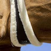 Norton Sattelgurt XTR mit Kunstschaffell Havana/Crème Norton Sattelgurt XTR mit Kunstschaffell Havana/Crème