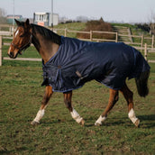EQUITHÈME Regendecke Classic 600D 0g Navy EQUITHÈME Regendecke Classic 600D 0g Navy