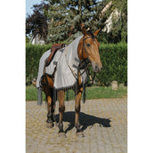 Riding World Fliegen-Ausreitdecke Mesh Grau Riding World Fliegen-Ausreitdecke Mesh Grau