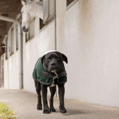 Diego & Louna Hundedecke Polar Grün Diego & Louna Hundedecke Polar Grün