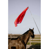 Hippotonic Trainingsstock Ethologisch mit Flagge Rot Hippotonic Trainingsstock Ethologisch mit Flagge Rot