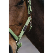 EQUITHÈME Halfter Spring Nylon Hellgrün EQUITHÈME Halfter Spring Nylon Hellgrün