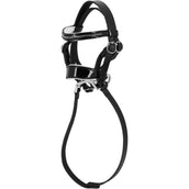 EQUITHÈME Pony Academy Zaum Dressur Schwarz EQUITHÈME Pony Academy Zaum Dressur Schwarz