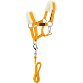 EQUITHÈME Pony Academy Halfterset Gelb EQUITHÈME Pony Academy Halfterset Gelb