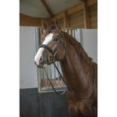 Pénélope Trense Daily Schokolade Pénélope Trense Daily Schokolade