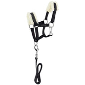EQUITHÈME Halfterset Pony Academy Schwarz Glitzer EQUITHÈME Halfterset Pony Academy Schwarz Glitzer