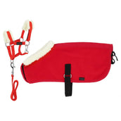 EQUITHÈME Teppichset anzeigen Mini Pony Academy Rot EQUITHÈME Teppichset anzeigen Mini Pony Academy Rot