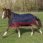 EQUITHÈME Outdoordecke Tyrex 1200D 50g mit Halbem Hals Navy/Bordeaux EQUITHÈME Outdoordecke Tyrex 1200D 50g mit Halbem Hals Navy/Bordeaux