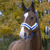 Norton Halfter Confort Fel Blau Norton Halfter Confort Fel Blau