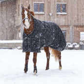 Riding World Outdoordecke Oxford 220g Schwarz Riding World Outdoordecke Oxford 220g Schwarz