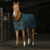 EQUITHÈME Stalldecke Teddy 200g Grün/Braun EQUITHÈME Stalldecke Teddy 200g Grün/Braun