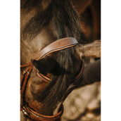 Eric Thomas Zaum Work Havanna Eric Thomas Zaum Work Havanna