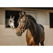 Eric Thomas Zaum Crown Havanna Eric Thomas Zaum Crown Havanna