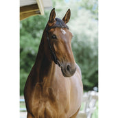 Norton Zaum Freedom Schwarz Norton Zaum Freedom Schwarz