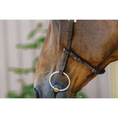 Norton Zaum Freedom Havanna Norton Zaum Freedom Havanna