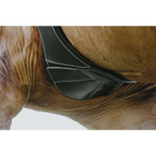 Norton Sattelgurt Magnet Anatomisch Schwarz Norton Sattelgurt Magnet Anatomisch Schwarz