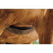 Norton Sattelgurt Magnet Anatomisch Havanna Norton Sattelgurt Magnet Anatomisch Havanna