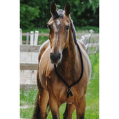 Norton Neckrope Schwarz Norton Neckrope Schwarz