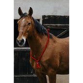 Norton Neckrope Rot Norton Neckrope Rot