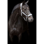 Catago Halfter FIR-Tech Monument Catago Halfter FIR-Tech Monument