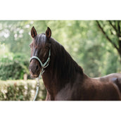 EQPRO Halfterset Precious Blue Reef EQPRO Halfterset Precious Blue Reef