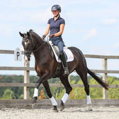 Equilibrium Gamaschen Stretch & Flex Flatwork Weiß Equilibrium Gamaschen Stretch & Flex Flatwork Weiß