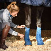 Equilibrium Gamaschen Equi-Chaps Stable Navy Equilibrium Gamaschen Equi-Chaps Stable Navy